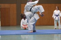 Bilder_2008 (23)